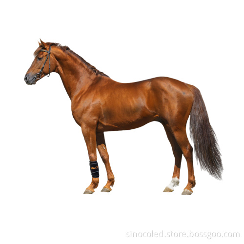 Red Infrared Light Therapy Horse Leg Wrap LED for Dogs and Horses